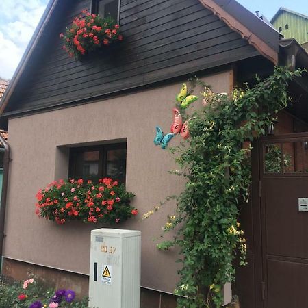 Maison Rosmina Braşov Eksteriør billede