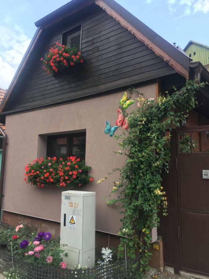 Maison Rosmina Braşov Eksteriør billede