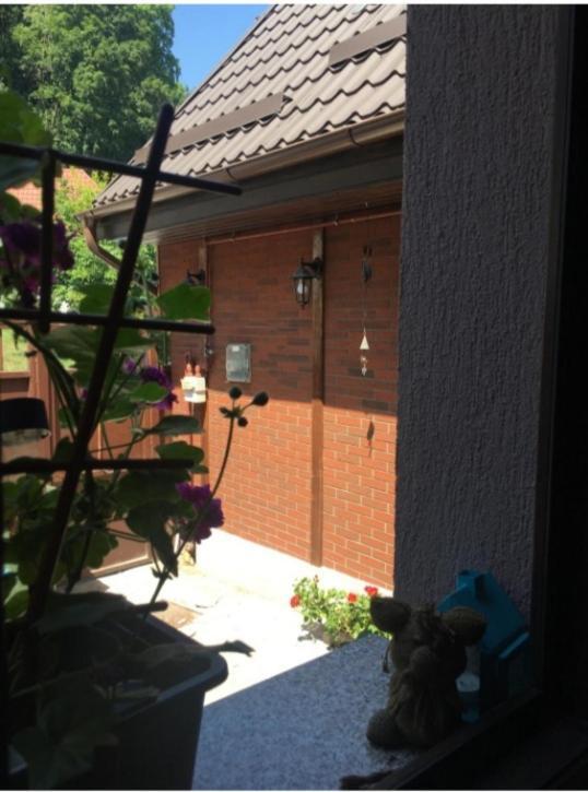 Maison Rosmina Braşov Eksteriør billede
